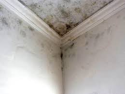 Best Mold Odor Removal Services  in Groesbeck, OH