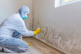 Best Comprehensive Air Testing for Mold Contaminants  in Groesbeck, OH