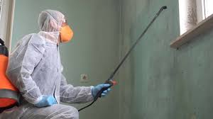 Best Mold Damage Restoration  in Groesbeck, OH