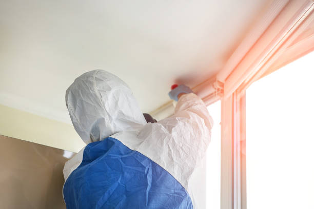 Best Residential Mold Inspection & Testing  in Groesbeck, OH