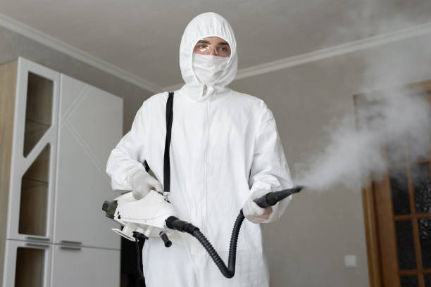 Best Biohazard Mold Removal  in Groesbeck, OH